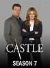 Castle TV Series Seasons 1-8 Complete DVD Box Set — DVD Worldwide ...