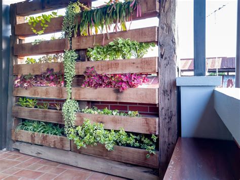 Vertical Balcony Garden Ideas How To Grow Vertically On A Balcony