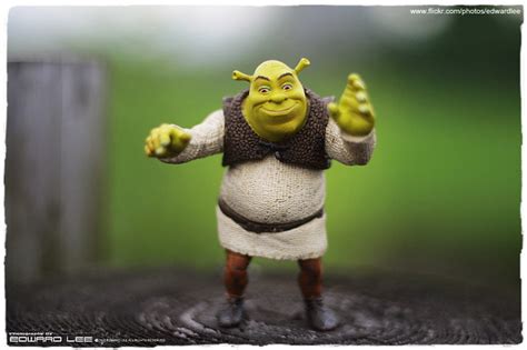 Shrek Say Hello To You ~ Flickr Photo Sharing