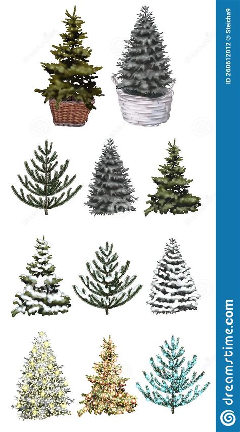 Watercolor Set Of Christmas Trees Realistic Set Of Christmas Trees