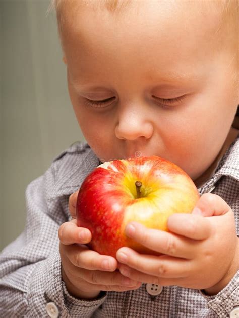 Little Boy Child Kid Eating Apple Fruit At Home Stock Photo Image Of