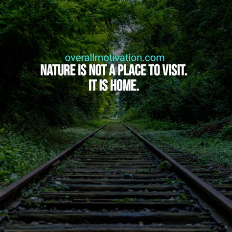 Best Nature Quotes Nature Quotes Nature Quotes Beautiful Amazing Nature