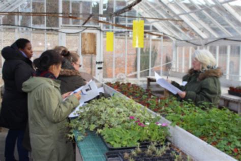 Using Social And Therapeutic Horticulture Within Mainstream And Special