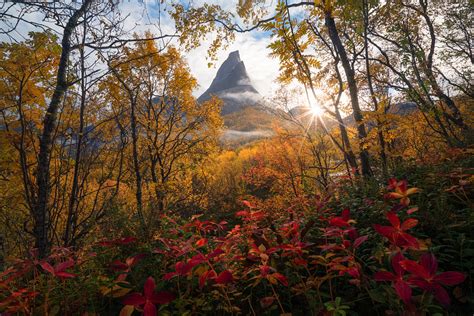 Autumn Embrace By Jake Bylsma 500px