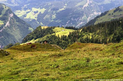 Stoos is a village located in the municipality of morschach. Wanderung Stoos Schweiz