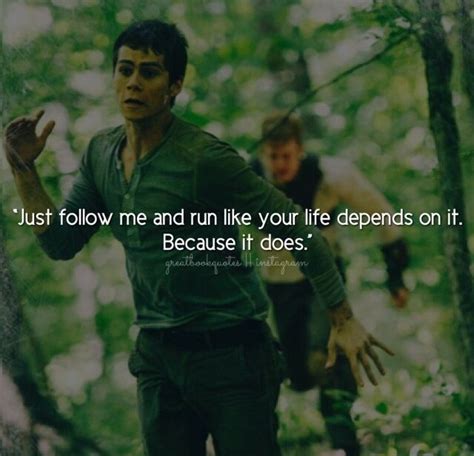 Book Quote Book The Maze Runner