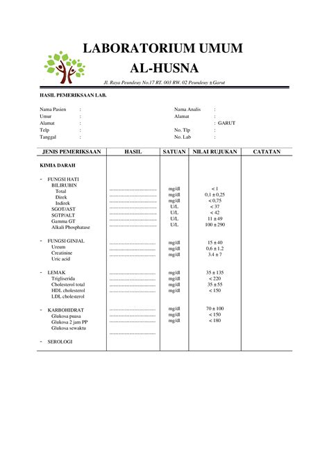 Docx Contoh Surat Hasil Lab Dokumentips