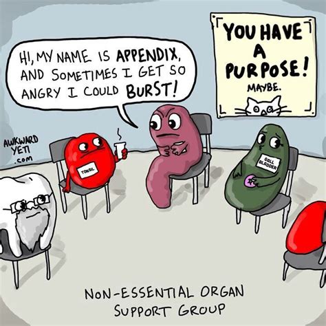 Burst Appendix Medical Jokes Medical Humor Awkward Yeti