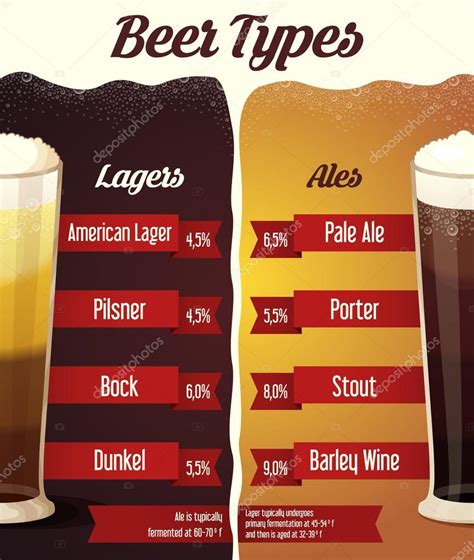 Tipos De Infograf A De Cerveza Clara Y Oscura