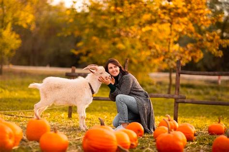 Can Goats Eat Pumpkins And Their Seeds Fall Snacks For Goats Goat Soap