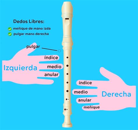 🥇como Tocar La Flauta Dulce Aprende Canciones