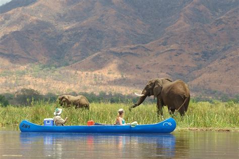 Absolute Zambia Safaris Zambia Tourism