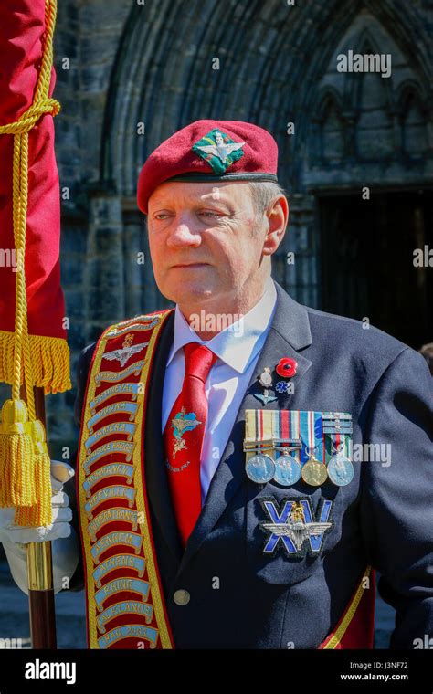 A Shetland Pony And The Regimental Mascot Hi Res Stock Photography And