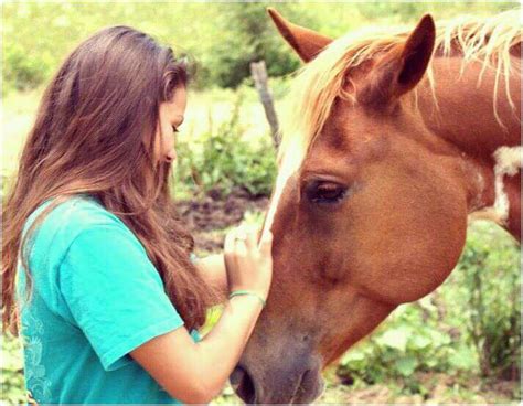 Love Horses Horses Animals