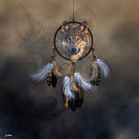 Wolf Spirit Dream Catcher Photograph By Gayle Berry Fine Art America