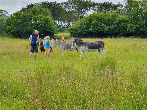 Walks And Beaches Holidays At Wildernest