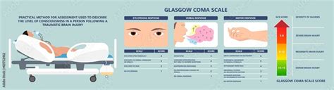 Glasgow Coma Scale Avpu Alert Verbal Pain Patient Score First Aid Test