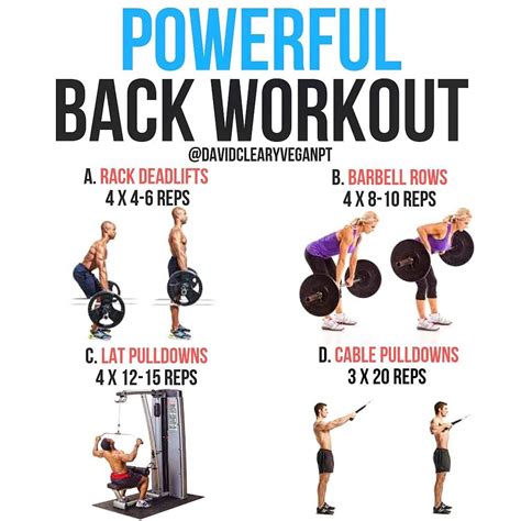 Get A Seriously Sculpted Strong Back With This Workout Comprising Of