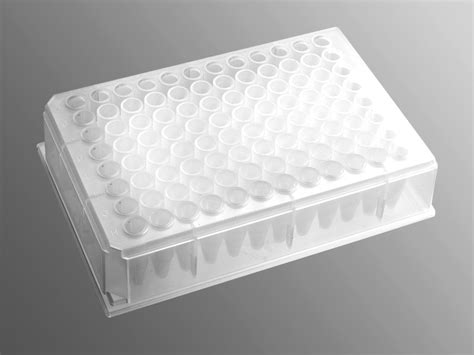 Axygen® 96 Well Clear V Bottom 600 µl Polypropylene Deep Well Plate 5 Per Pack Sterile From