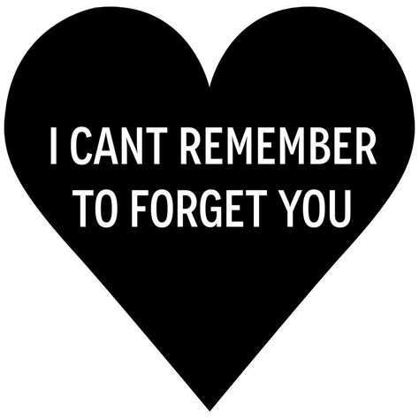 I Cant Remember To Forget You Quotes Words Remember