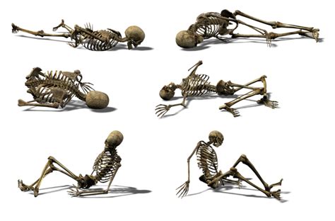 Skeleton Png Transparent Image Download Size 800x527px