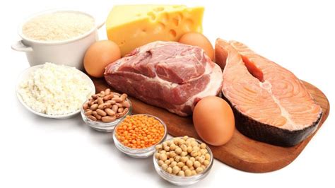 Guia Completo Das Proteínas Tudo Sobre Os Poderosos Nutrientes