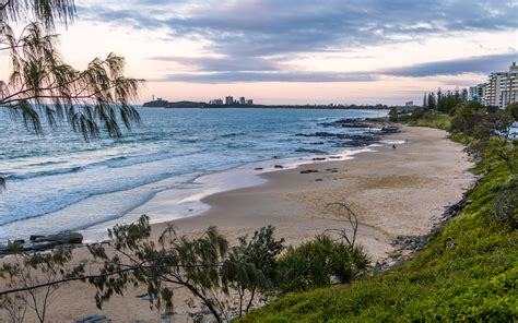 When you start studying in queensland, you can go anywhere. Alexandra Headland Beach / Australia / Queensland // World Beach Guide