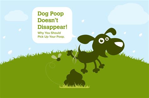 Why You Should Pick Up Your Dogs Poop Earth Rated® Blog
