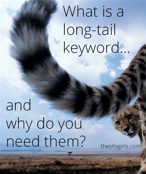 How To Blog Seo What Is The Difference Between A Keyword And Long Tail Keywords Click
