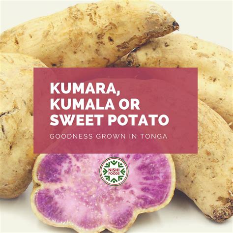 Before the arrival of european explorers in the late 17th and early 18th centuries. Tongan Potato - The Difference Between Yams And Sweet ...