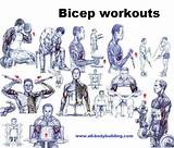 Photos of Bicep Exercises