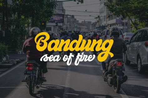 Get unlimited access to kuenstler script® std #2 bold and over 41 professional kunstler script 2 bold fonts to download. Bellynice Bold Script Font - Befonts.com