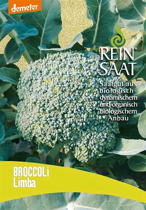 Broccoli Limba Bio Brokkolisamen Von Reinsaat Samenhaus Samen