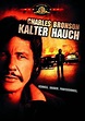 Kalter Hauch [DVD]: Amazon.de: Jan-Michael Vincent, Jerry Fielding ...