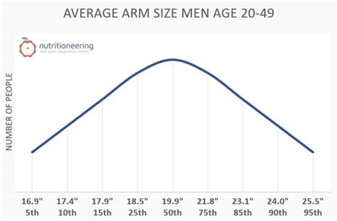 Average Bicep Size By Gender Age And Body Size Nutritioneering