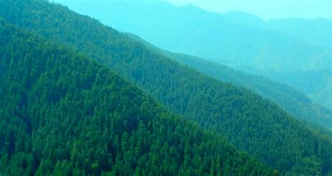 Green Valley Shimla Entry Fee Timings Best Time To Visit Images