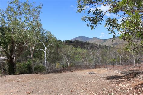 Sure, but this is the most engaged i've been in an apartheid film so far. My Dry Tropics Garden: The Harsh End Of The 2015 Dry ...