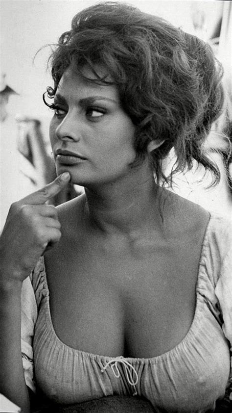 Sophia Loren Sofia Loren Sophia Loren Photo Sophia Loren Images