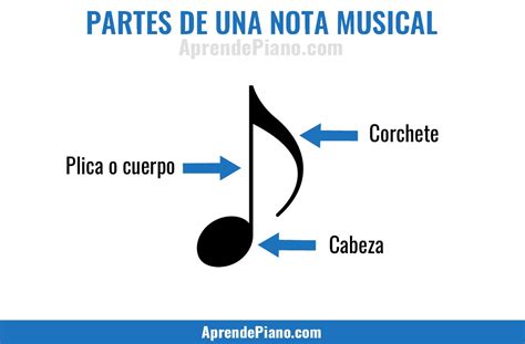 Las Partes De La Nota Musical Notas Musicales Ense Anza Musical Musical Hot Sex Picture