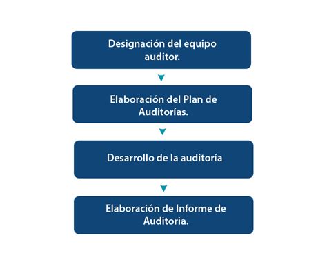 Etapas De La Metodologia De La Auditoria Administrativa Riset