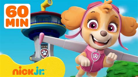 Paw Patrol Skyes Best Lookout Tower Rescues W Marshall And Skye 1