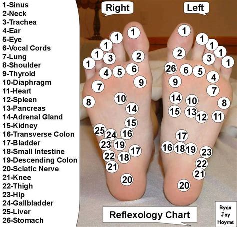 This Is Why You Need To Massage Your Feet Every Night Before Bed Artofit