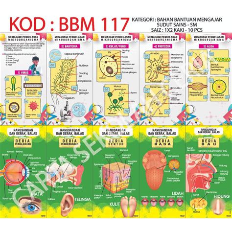 Bbm117 10pcs Poster Sudut Sains Pelbagai Smk Shopee Malaysia