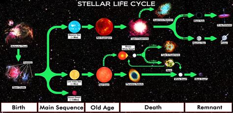 Stellar Life Cycle Alessandro Seoni