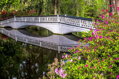 White Bridge At Magnolia Plantation Photograph By Stephan Herzog