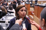 Luisa María Calderón Hinojosa acusa a Castillo de complicidad grave con ...