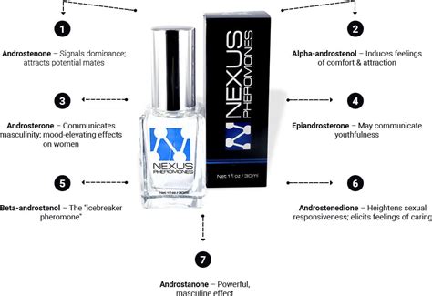 Nexus Pheromones Review A Top Formula On The Market