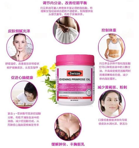 Often used as a health remedy, women have long taken it to relieve breast pain, pms and menopause symptoms, as well as to induce labor. Viên tinh dầu hoa anh thảo Swisse Evening Primrose Oil giá ...