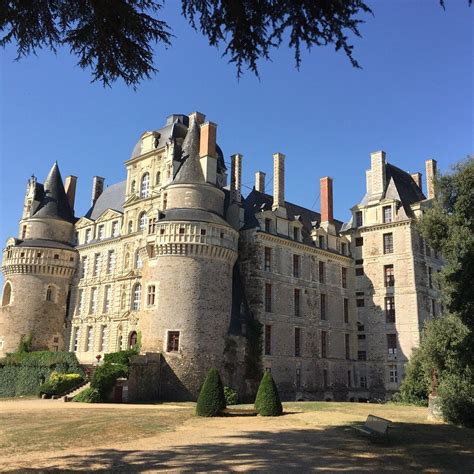 Château De Brissac Brissac Quince 2019 Ce Quil Faut Savoir Pour