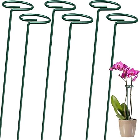 Amazon Com Pack Plant Support Stakes Inch Peony Cages Garden Flower Support Stake Steel